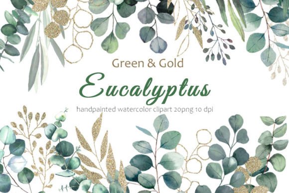 Eucalyptus Clipart: Elegant Leaves & Gold Accents