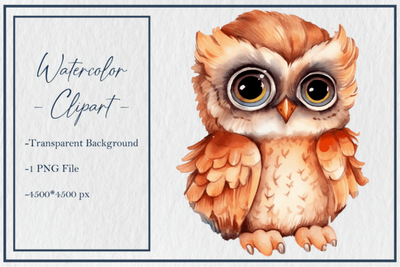 Watercolor Cute Owl Clipart PNG Sub 8 Guide